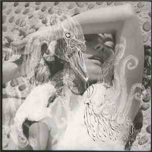 Björk - Verspertine download free