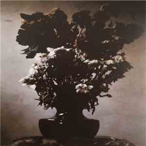 Brume / Oublier Et Mourir - A Year To Live download free