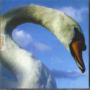 David Donohoe - Statuesque download free