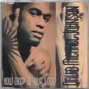 David Michael Johnson - How Deep Is Your Love download free