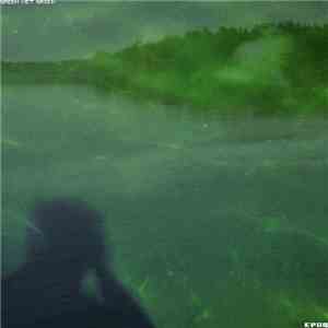 Epoq - Green Wet Green download free