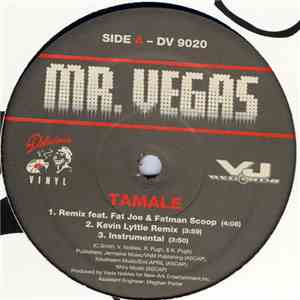 Mr. Vegas - Tamale (Remix) download free