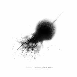 Notion - Mistrust / Feared Images download free