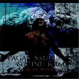 Pagan Skull & Minu Kamp - Aseveljet/Relvavennad download free