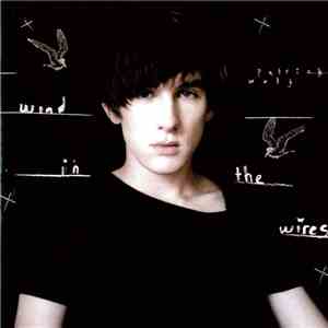 Patrick Wolf - Wind In The Wires download free