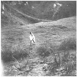 ◯ / Planks - Split download free