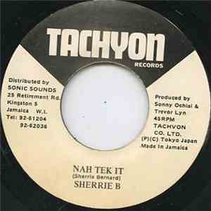 Sherrie B - Nah Tek It download free