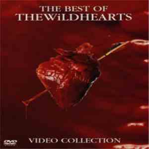 The Wildhearts - The Best Of The Wildhearts ~ Video Collection download free